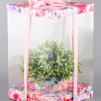 Коробка PVC, для цветов с лентой, 28 х 18 х 18 см, розовый