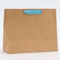 Пакет с PVC окном, "Мужской", 24 х 11 х 20 см