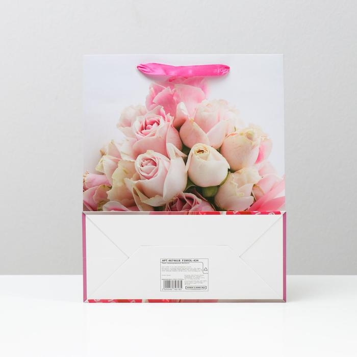 Пакет ламинированный, 26 x 32 x 12 см