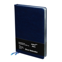 Ежедневник датированный 2025 года, A5, 168 листов в линейку, кожзам "Небраска", серебряный срез, синий