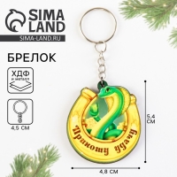 Брелок новогодний, для ключей, деревянный &laquo;Змея удачу несет&raquo;, 4,8 х 9,9 см