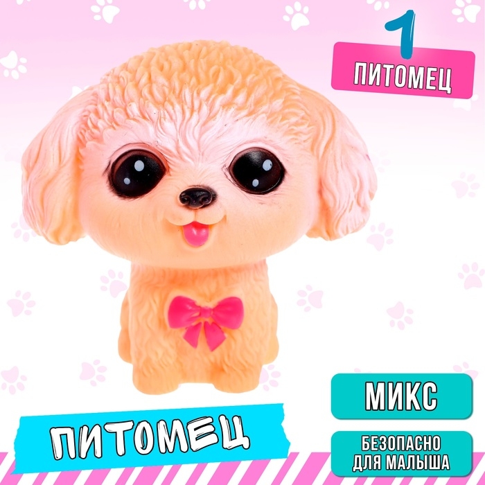 Питомец &laquo;Любимый&raquo;, МИКС