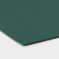 Салфетка сервировочная на стол &laquo;Тэм&raquo;, 30&times;44 см, цвет зелёный