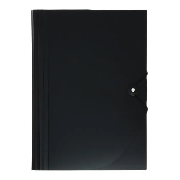 Папка для бумаги А4 на резинке пластиковая Calligrata, 12 отделений, черная