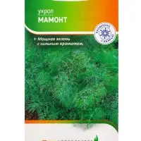 Семена Укроп "Мамонт" 2 г