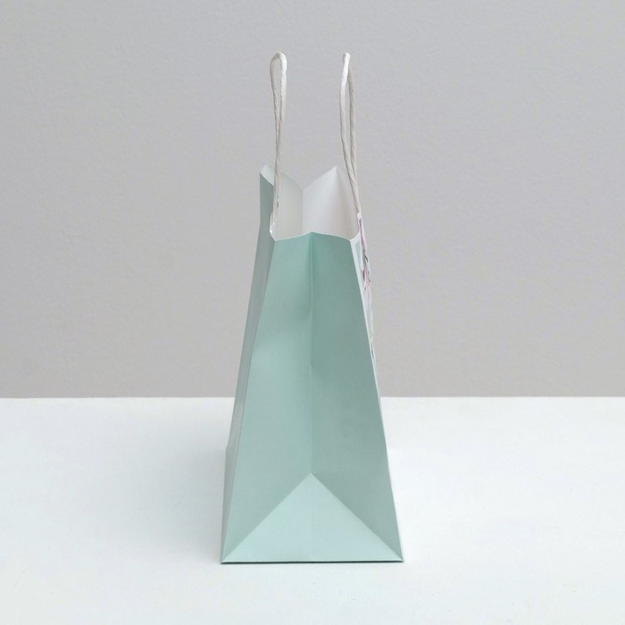 Пакет подарочный крафтовый, упаковка, &laquo;Present&raquo;, 25 х 22 х 12 см