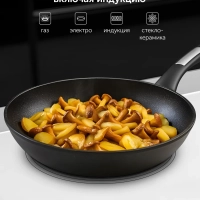 Сковорода с антипригарным 24 см Monolit 24F индукция