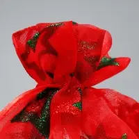 Мешочек подарочный органза &laquo;Звезда&raquo;, 16 х 24 см +/- 1.5 см