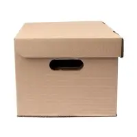 Короб архивный Делопроизводство", 325*235*180, крафт