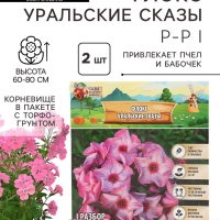 Флокс &laquo;Уральские сказы&raquo; корневище в пакете с торфогрунтом, р-р I, 2 шт.