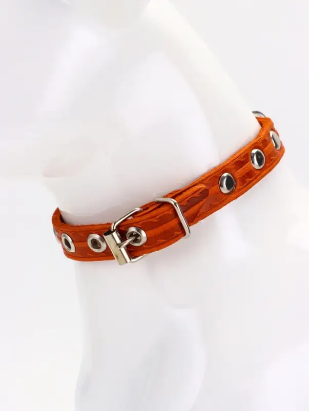 Ошейник кожаный однослойный украшенный, 1,2 см, ОШ 20-26 см микс цветов