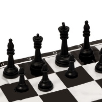 Шахматы 30 х 30 см, король h-5 см, d-2.2 см, фигуры пластик