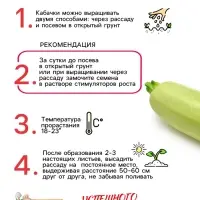 Семена Кабачок "Белоплодные", 1 г