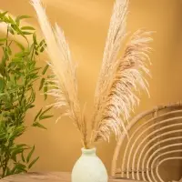 Ваза терракота &laquo;Эдесса&raquo;, 7&times;17&times;23 см, керамика