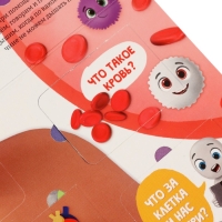 Книга - раскладушка детская &laquo;Как устроено моё тело&raquo;, 40 окошек