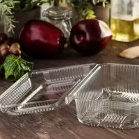 Контейнер одноразовый с неразъёмной крышкой ПР-К-7 А, пластик, 250 мл, 21.5&times;13.5&times;7.2 см, прозрачный