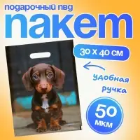 Пакет подарочный &laquo;Милая такса&raquo;, полиэтиленовый с вырубной ручкой, 30&times;40 см 50 мкм