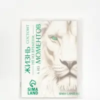 Пакет подарочный &laquo;Новогодняя сказка&raquo;, с ободком, 31 &times; 11 &times; 40 см