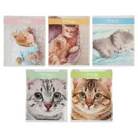 Тетрадь 36 листов в клетку, Calligrata &laquo;Кошки&raquo;, обложка мелованная бумага, серые листы, МИКС