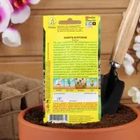 Набор семян Бакопа Блутопия, 2 шт.