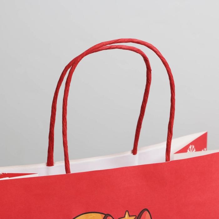 Пакет подарочный новогодний &laquo;Следующий год будет лучше&raquo;, 22 х 22 х 11 см