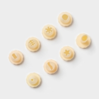 Шприц кондитерский Доляна &laquo;Cластёна&raquo;, 8 насадок, 17&times;5&times;5 см, цвет МИКС