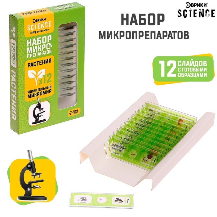 Набор для опытов &laquo;Набор микропрепаратов&raquo;, растения