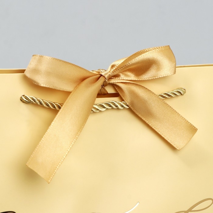 Пакет подарочный новогодний &laquo;Lucky present&raquo;, 26 х 25 х 11 см, Новый год