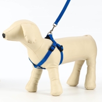 Комплект &laquo;Базис&raquo;, поводок 120&times;1.5 см, шлейка 32-46&times;1.5 см, синий