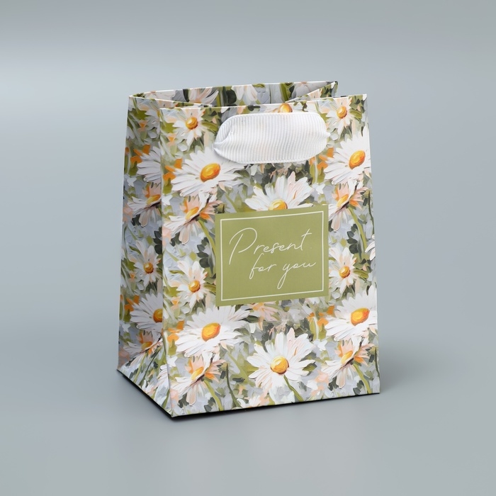 Пакет подарочный ламинированный, упаковка, Present, 9 х 12 х 6.5 см