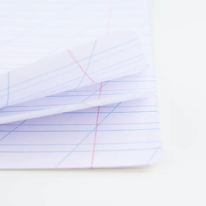 Тетрадь 12 листов в косую линейку, А5, на скрепке, блок №1 &laquo;Учись на 5+&raquo; МИКС