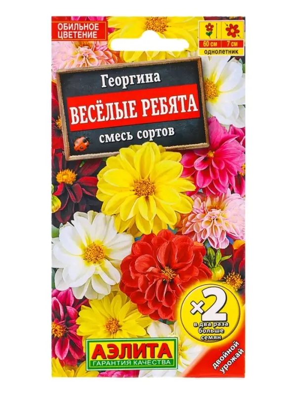 Семена цветов Георгина &laquo;Весёлые ребята&raquo;, смесь сортов,0.6 г