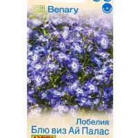 Семена цветов Лобелия Блю виз ай палас кустовая  (драже в пробирке) Спецсерия Benary, Ц/П,5 шт. 1094
