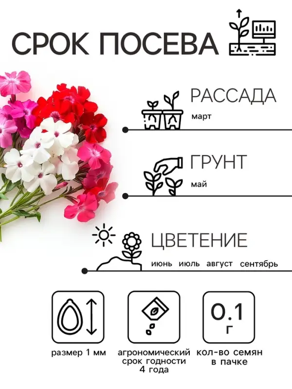 Семена цветов Флокс "Разноцветная смесь", 0,1 г