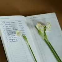 Ежедневник Nubuk, недатированный, синий