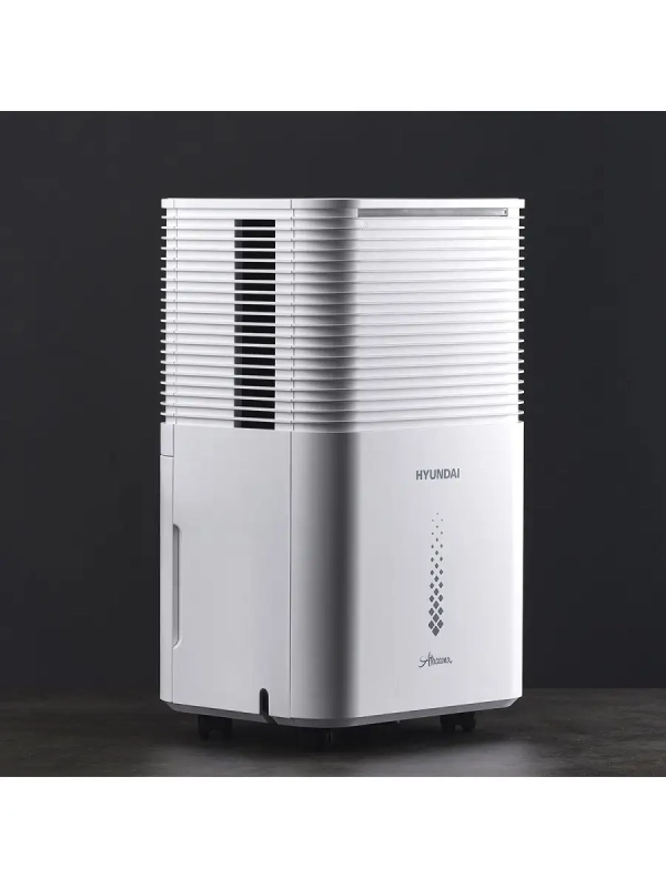 Электрический осушитель H-DH10-P81WF