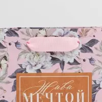 Пакет подарочный крафтовый, упаковка, &laquo;Живи мечтой&raquo;, S 12 х 15 х 5.5 см