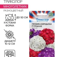 Семена Гвоздика "Триколор", ц/п,  0,6 г