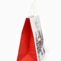 Набор пакетов крафтовых &laquo;Новогодний&raquo;, 10 шт, 22 &times; 22 &times; 11 см