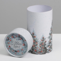 Коробка подарочная &laquo;Новогоднее чудо&raquo;, 8 х 14,5 см, Новый год