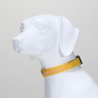 Ошейник с подсветкой размер L, ОШ 45-52 х 2,5 см 3 режима свечения жёлтый