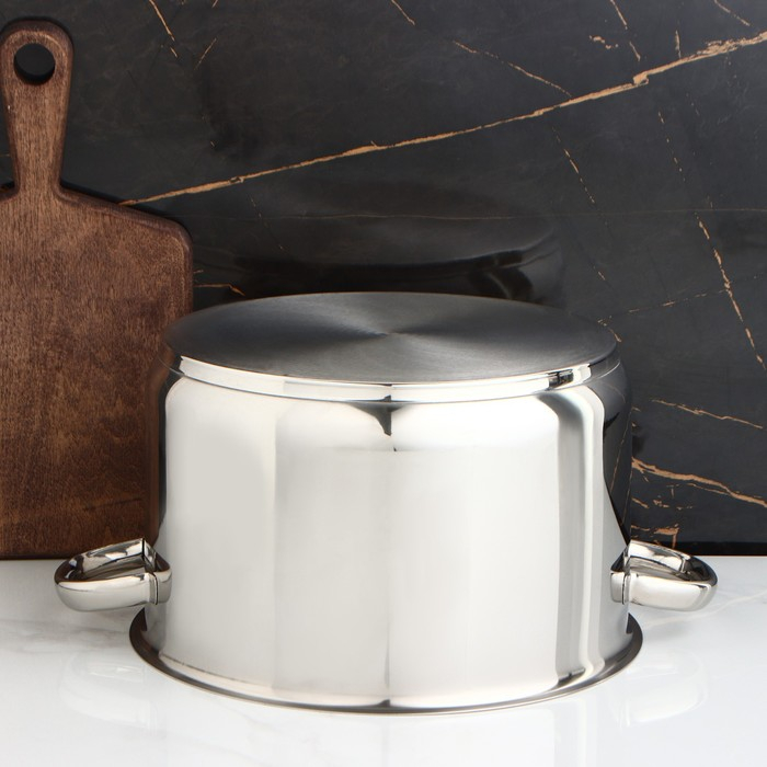 Кастрюля цельнотянутая &laquo;Профи&raquo;, 10 л, d=28 см, капсульное дно, индукция