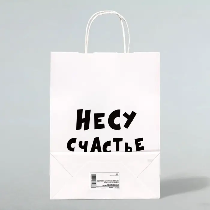 Пакет подарочный &laquo;Несу счастье &raquo;, 24&times;14&times;28 см