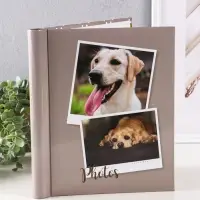 Фотоальбом 10 магнитных листов "Друзья верные" 23X28см, пер-т внутр.спираль