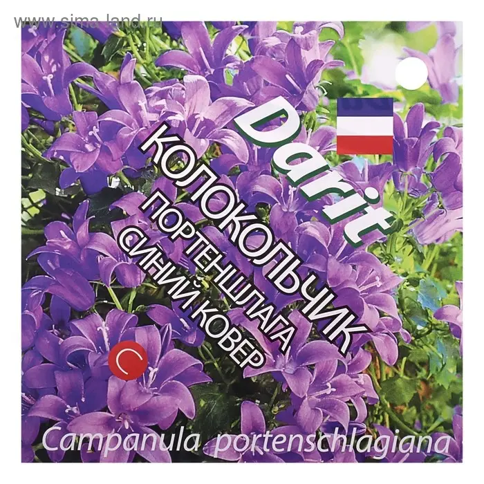 Семена цветов Колокольчик "Портеншлага", "Синий ковер", 0,01 г