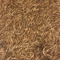 Газон Микс "Мой Выбор" 1кг