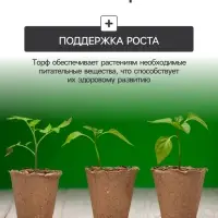 Набор для рассады: торфяной горшок 6&times;6 см, кассета на 6 ячеек, 17.5&times;13.5 см, Greengo