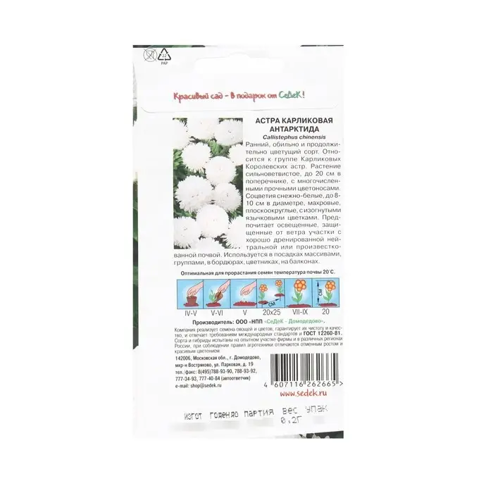 Семена Цветов Астра "Антарктида "0.2 г