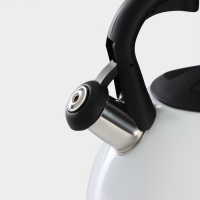 Чайник со свистком из нержавеющей стали Доляна &laquo;Сердце&raquo;, 3 л, с индикатором нагрева