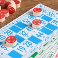 Русское лото, настольная игра "Цветное", 23 х 18 см